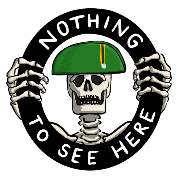 Nothing to see here - vinyl sticker